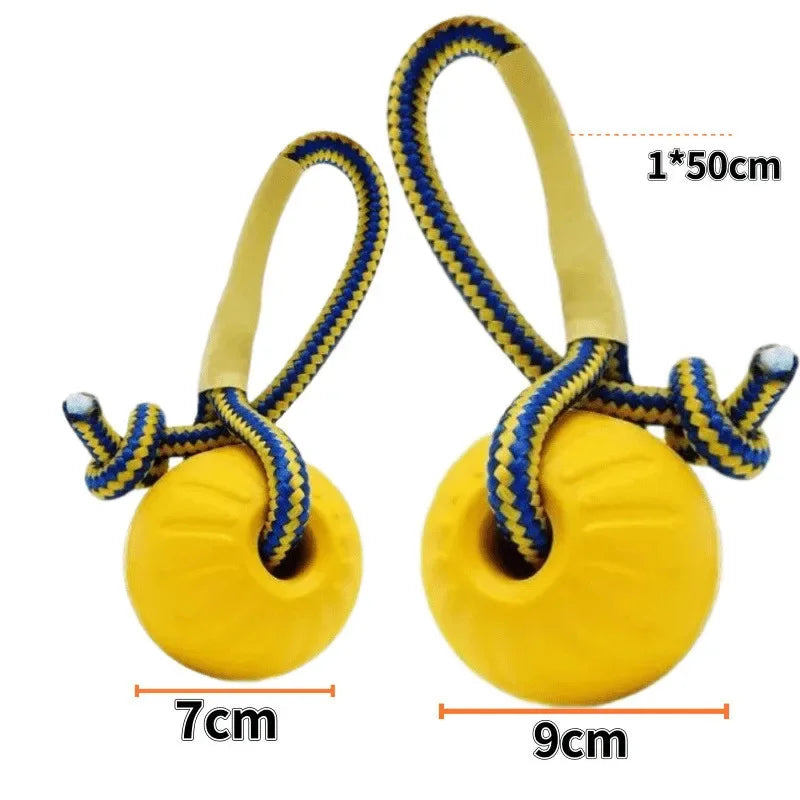 Durable Chew & Fetch Toy for Dogs