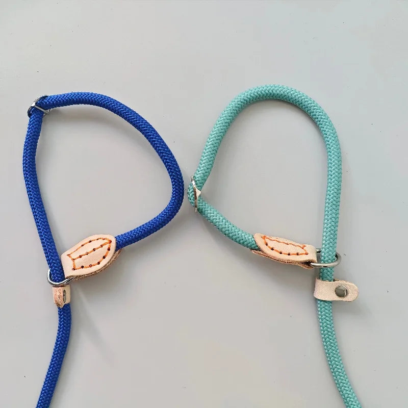 Laisse réfléchissante pour l'éducation canine – Corde anti-traction réglable pour chiens de petite et moyenne taille 