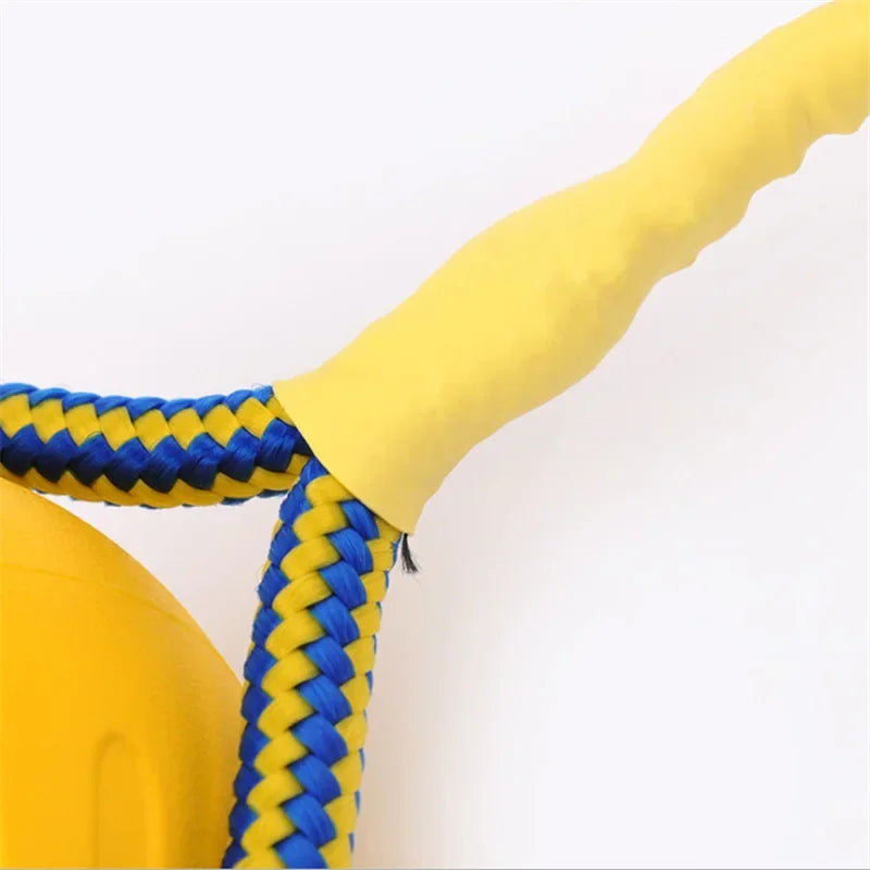 Durable Chew & Fetch Toy for Dogs