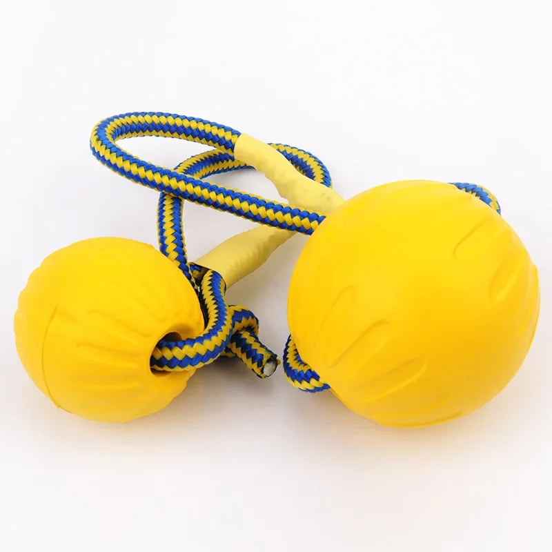 Durable Chew & Fetch Toy for Dogs