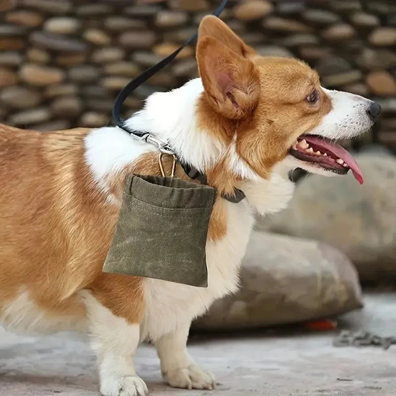 PawTreat Hands-Free Dog Training Pouch