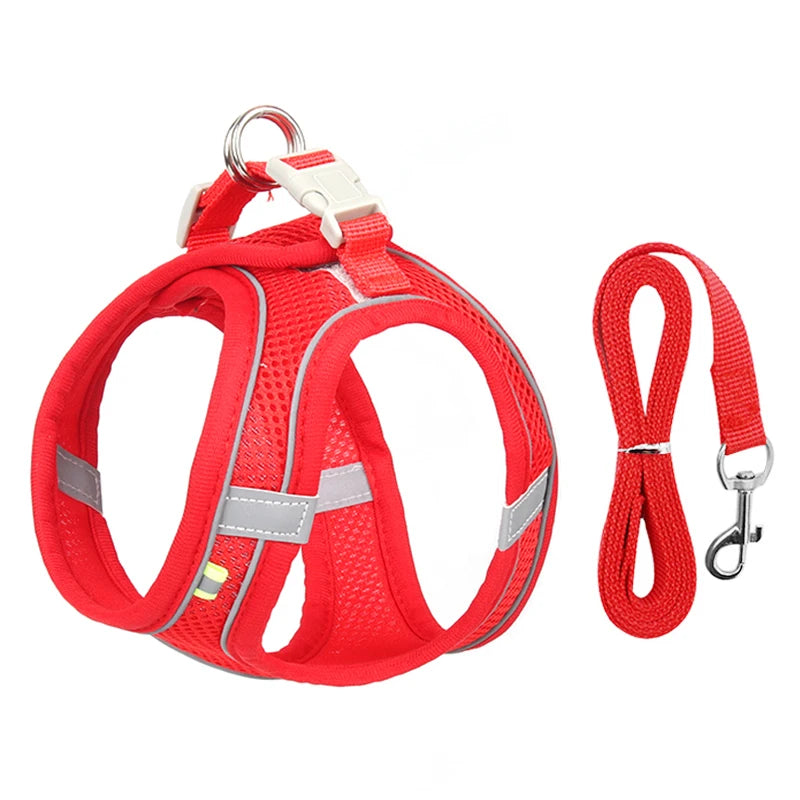 EasyFit Dog Harness & Leash – Adjustable Vest for Small Dogs & Puppies