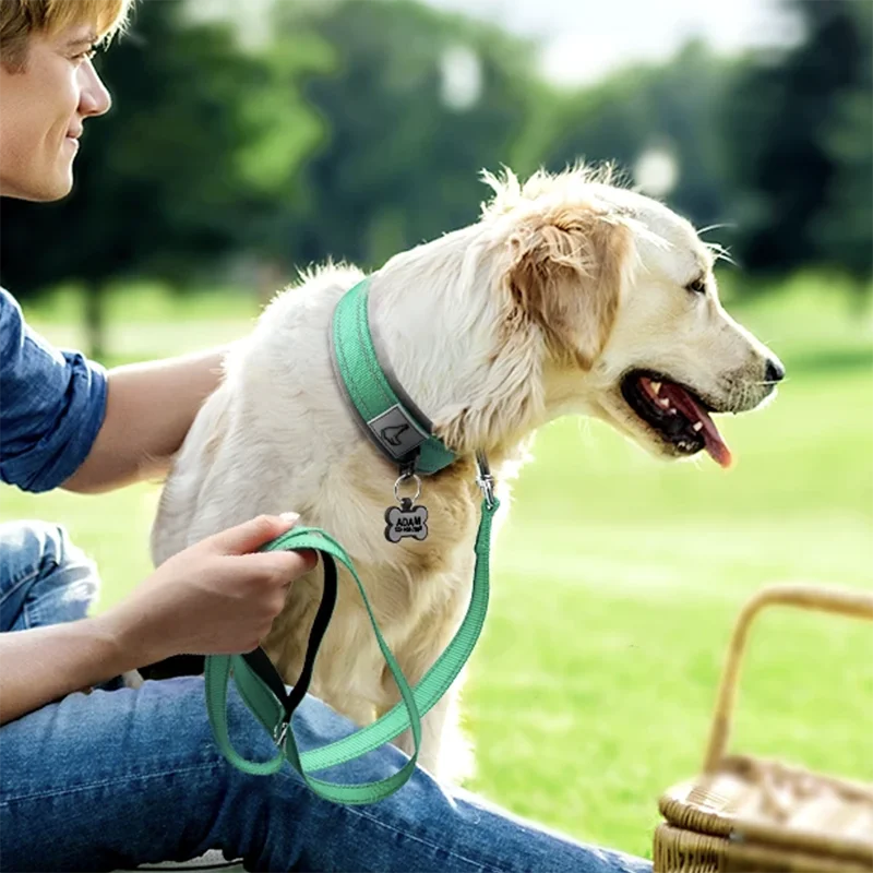 Collier pour chien ultra-résistant – Confortable et ajustable en néoprène et nylon, pour chiens de petite et grande taille 