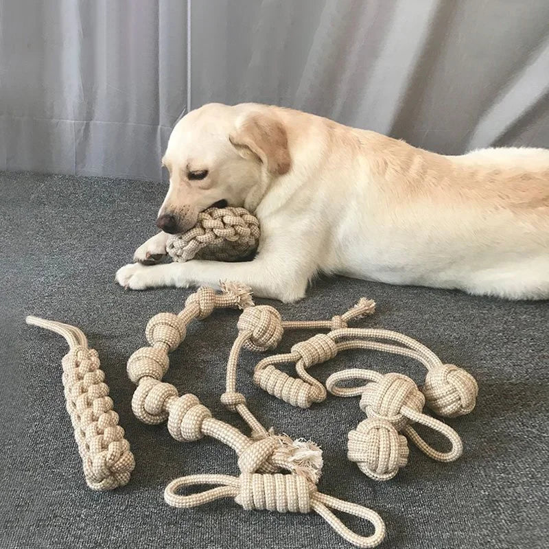 Durable Interactive Rope Toy for Pets - Dental Cleaning & Chewing