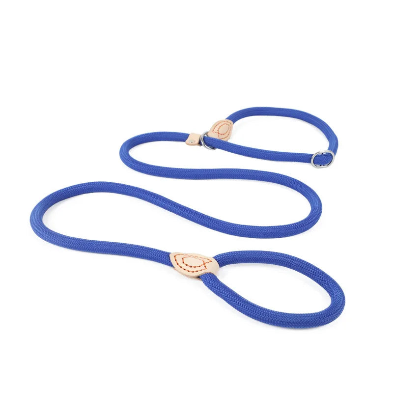 Laisse réfléchissante pour l'éducation canine – Corde anti-traction réglable pour chiens de petite et moyenne taille 