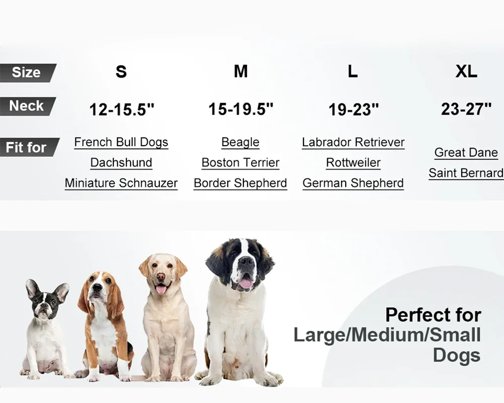 Collier pour chien ultra-résistant – Confortable et ajustable en néoprène et nylon, pour chiens de petite et grande taille 