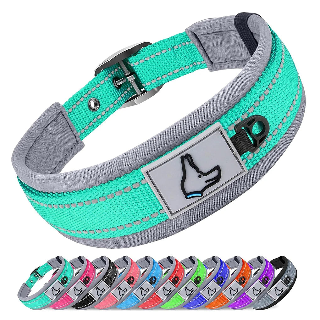 Heavy Duty Dog Collar – Adjustable Neoprene & Nylon Comfort for Small to Large Dogs