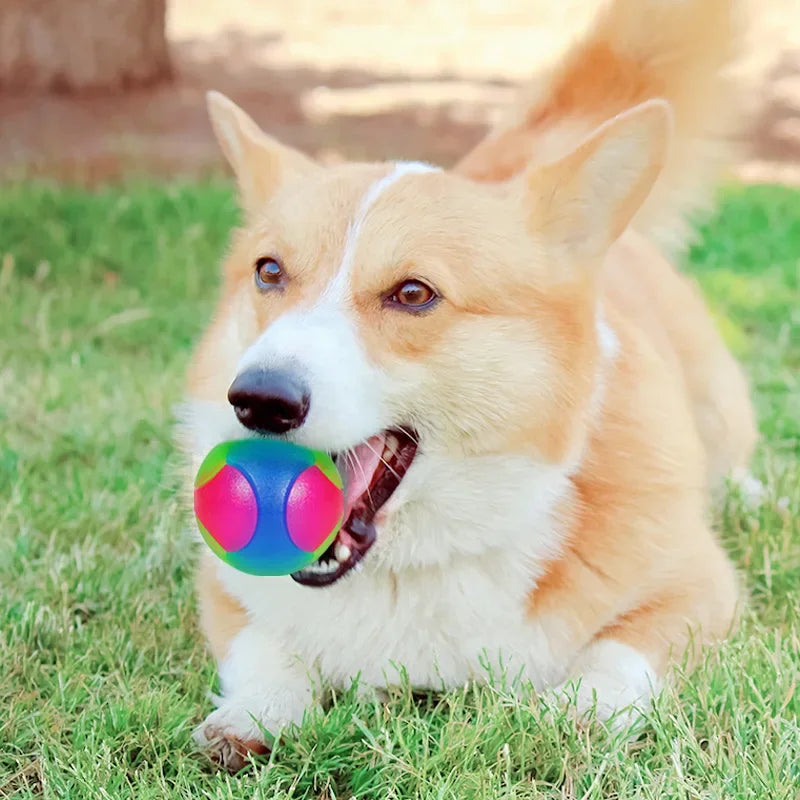 Tri-Colour Flash Ball for Small Dogs – Training & Play Toy