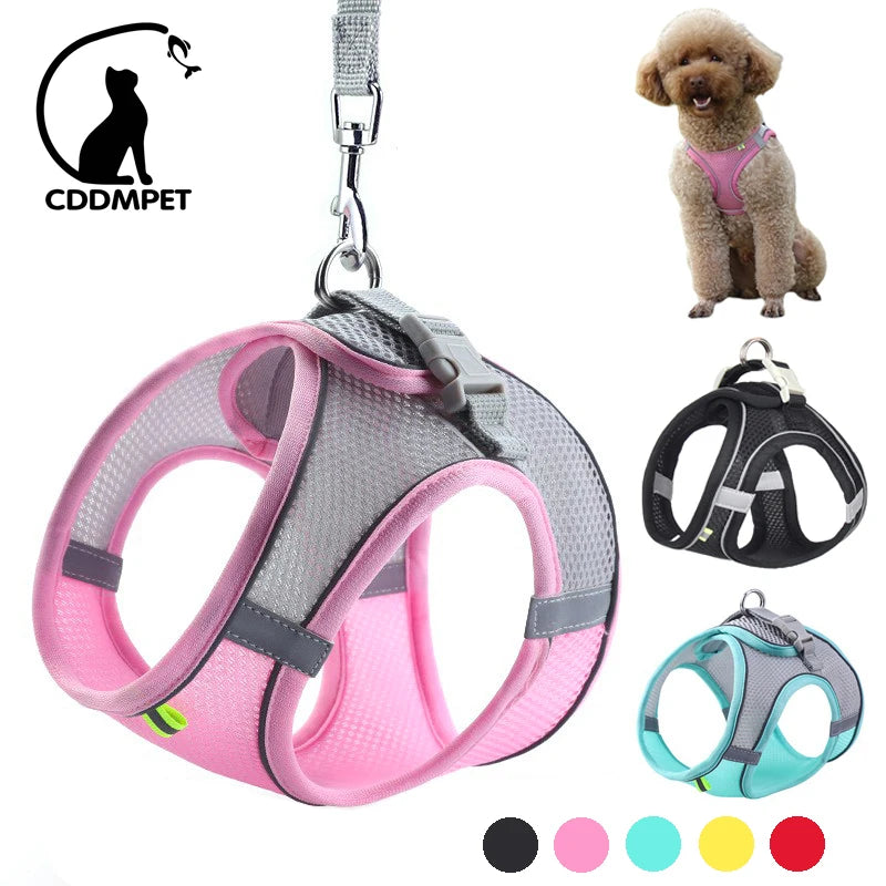 EasyFit Dog Harness & Leash – Adjustable Vest for Small Dogs & Puppies