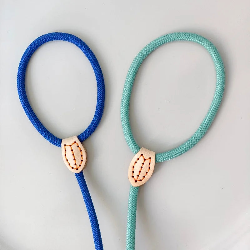 Laisse réfléchissante pour l'éducation canine – Corde anti-traction réglable pour chiens de petite et moyenne taille 